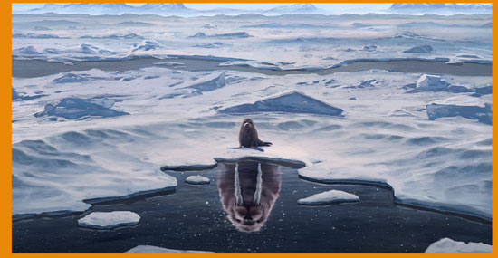 Как стать моржом?