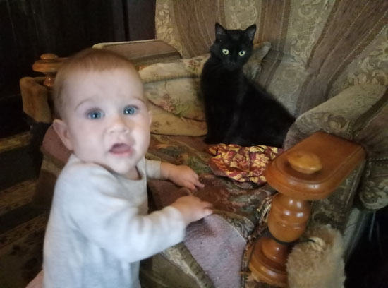 Не пойман - не кот