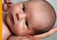 Волосы на теле новорожденного